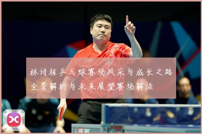 林诗栋乒乓球赛场风采与成长之路全景解析与未来展望赛场解读