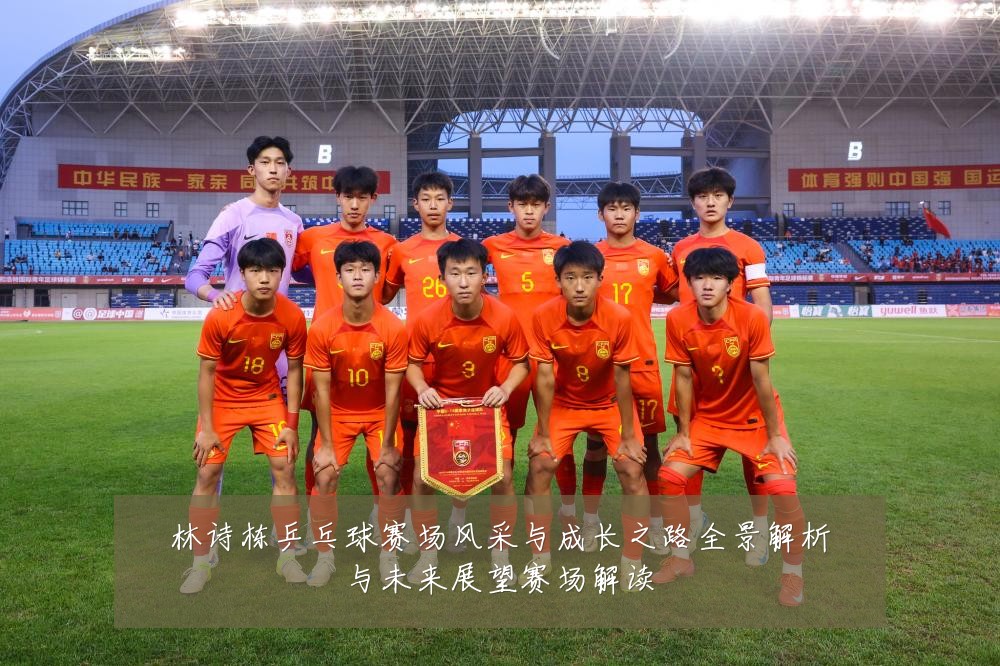 林诗栋乒乓球赛场风采与成长之路全景解析与未来展望赛场解读